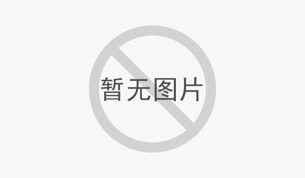 溫度過(guò)熱對(duì)廂式壓濾機(jī)的影響？